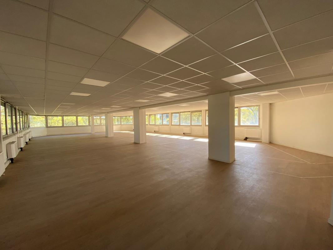 52 Rue Jacques Babinet, Toulouse à louer Photo intérieure– Image 1 sur 9