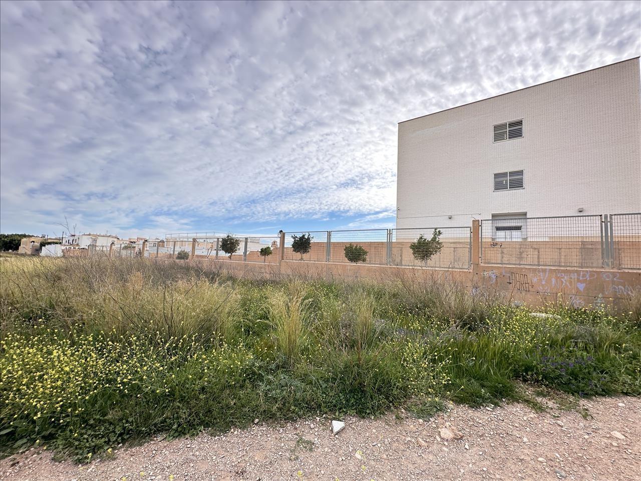 Terrain dans El Ejido, Almería à vendre Photo principale– Image 1 sur 7