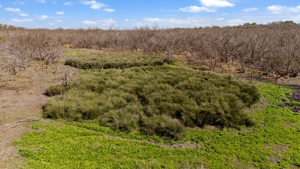 TBD County Road 4516, Hondo, TX à vendre - Photo principale – Image 1 sur 20