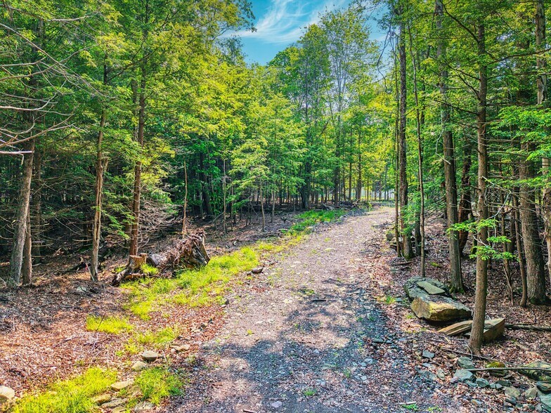 Boulder Brook Rd, Windham, NY à vendre - Photo de l’immeuble – Image 3 sur 28