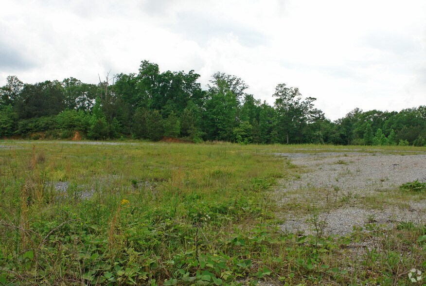 Old Hwy 280, Chelsea, AL à vendre - Photo principale – Image 2 sur 2