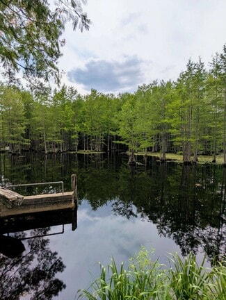 Plus de détails pour Balfour Road & McNeill Lake Rd, Lumber Bridge, NC - Terrain à vendre