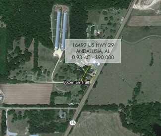 Plus de détails pour 16497 US 29, Andalusia, AL - Terrain à vendre