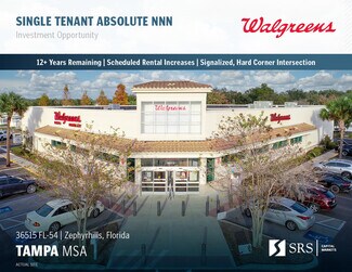 Plus de détails pour 36515 State Road 54, Zephyrhills, FL - Local commercial à vendre