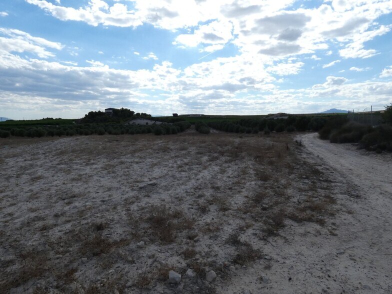 Terrain dans Molina de Segura à vendre - Plan de site – Image 3 sur 12