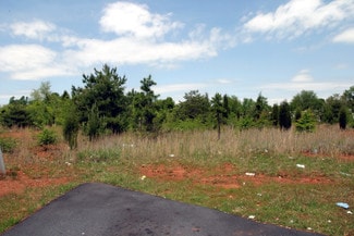 Plus de détails pour 1967-1989 Cotton Grove Rd, Lexington, NC - Local commercial à vendre