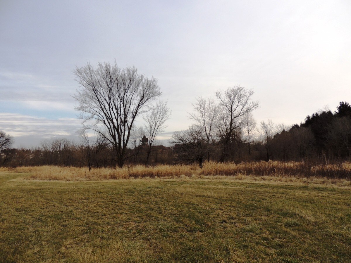 View Photo