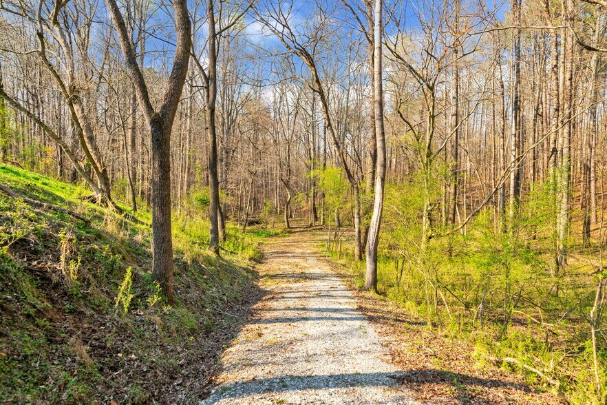 450 Pat Rich Dr, Canton, GA à vendre - Aérien – Image 2 sur 10