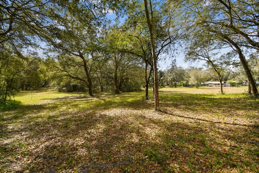 10415 Main Street St, Thonotosassa, FL à vendre - Photo de l’immeuble – Image 2 sur 35