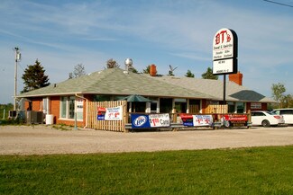 Plus de détails pour 10980 Dunnigan Rd, Emmett, MI - Local commercial à vendre