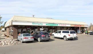 Plus de détails pour 9032 50 St NW, Edmonton, AB - Local commercial à louer