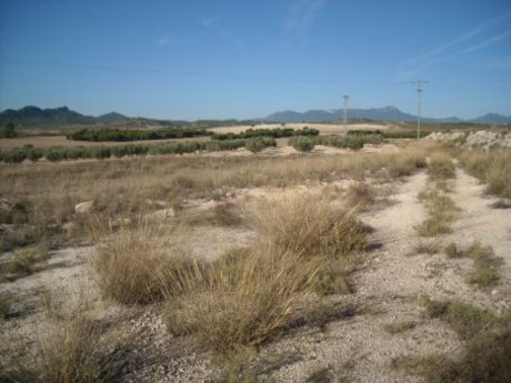 Industriel/Logistique dans Calasparra à vendre - Plan de site – Image 3 sur 7