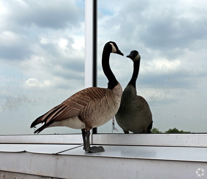 1300 E 104th St, Kansas City, MO à vendre - Photo de l’immeuble – Image 2 sur 10