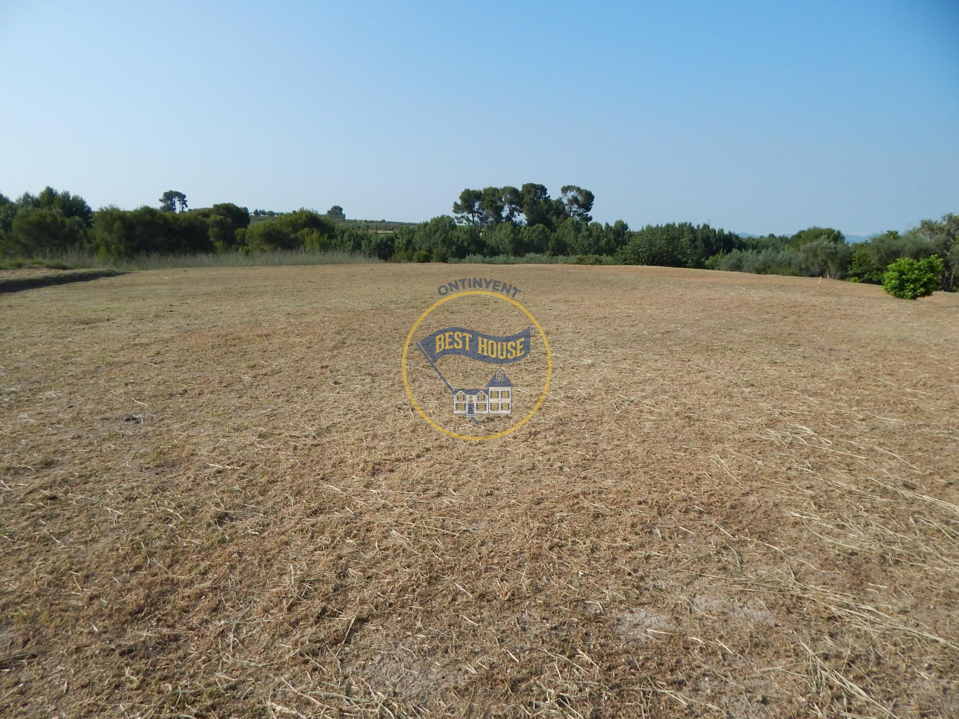 Terrain dans Agullent à vendre Plan de site– Image 1 sur 8