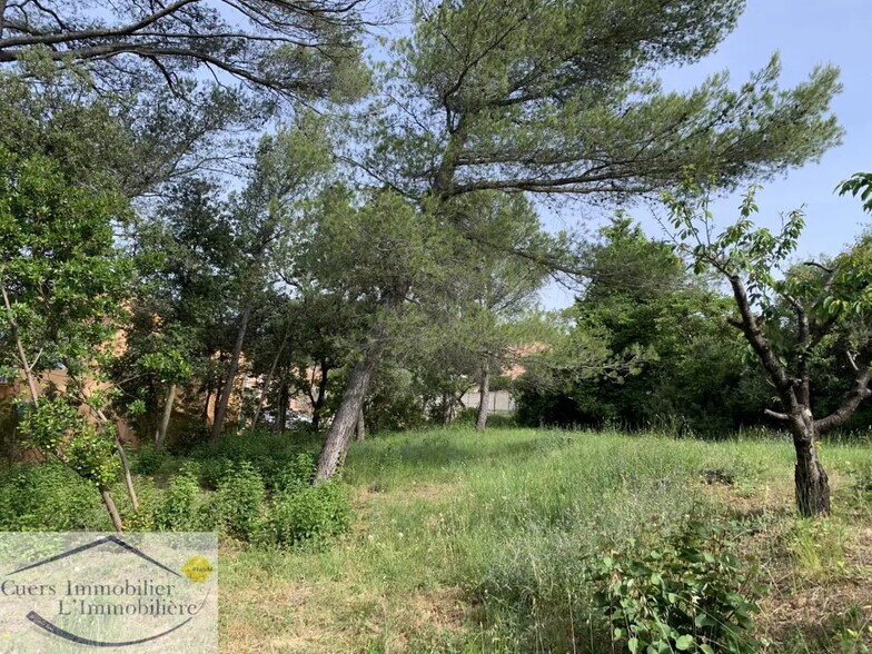 Terrain dans Cuers à vendre - Photo de l’immeuble – Image 1 sur 3