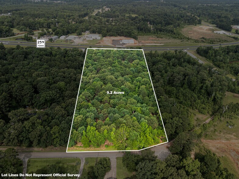 Hwy 259- TBD Hwy, Longview, TX à vendre - Photo de l’immeuble – Image 2 sur 4