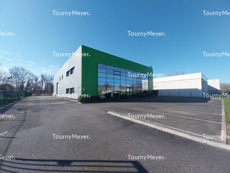 6 Avenue Du Girou, Villeneuve-lès-Bouloc à louer Photo de l’immeuble– Image 1 sur 12