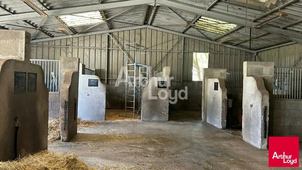 Local d'activités dans Blois à vendre Photo intérieure– Image 1 sur 5