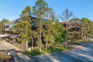 Plus de détails pour 7915 FM-1960 W, Houston, TX - Différents types d’espaces à louer