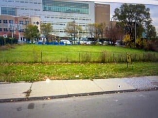Plus de détails pour 109-111 W Alexandrine St, Detroit, MI - Terrain à vendre