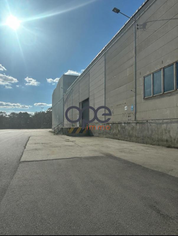 Plus de détails pour Industriel/Logistique à vendre