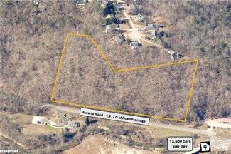 Plus de détails pour 0 Auraria Rd, Dahlonega, GA - Terrain à vendre