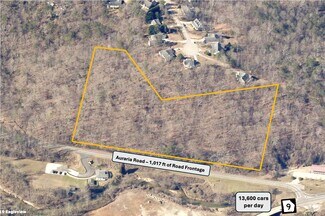 Plus de détails pour 0 Auraria Rd, Dahlonega, GA - Terrain à vendre