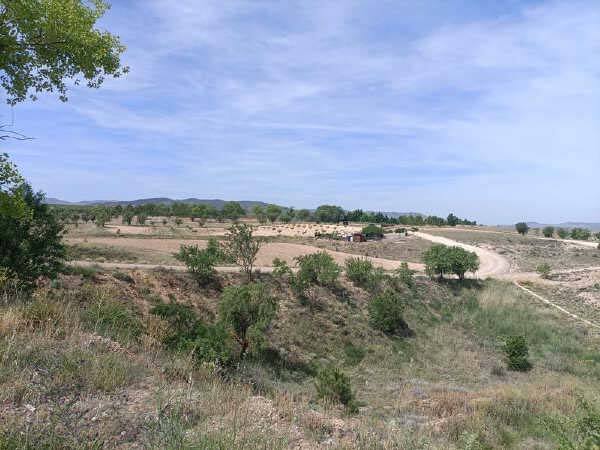 Calle Sierra de Armantes, 24, Calatayud, Zaragoza à vendre - Autre – Image 3 sur 4
