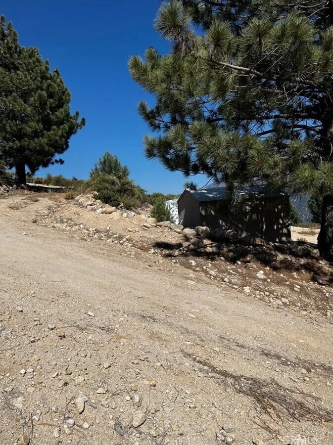 View Photo