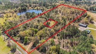 Plus de détails pour 7700 Iron Rush Rd, Wilmer, AL - Terrain à vendre