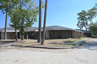 Plus de détails pour 14423 Cornerstone Village Dr, Houston, TX - Bureau à vendre