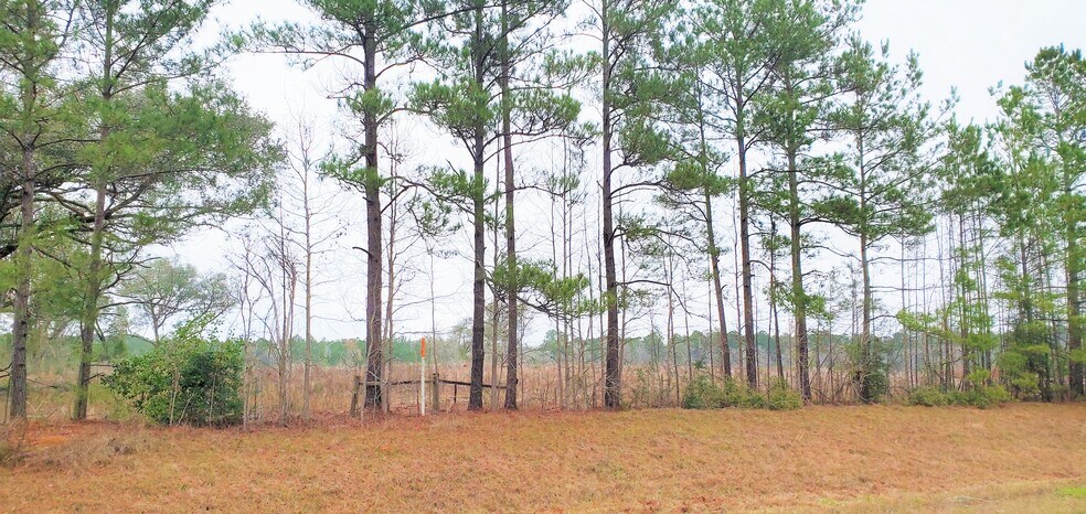 Highway 3226, Deridder, LA à vendre - Photo de l’immeuble – Image 3 sur 5