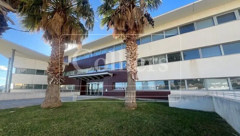 15 Rue Docteur Zamenhof, Marseille à vendre Photo de l’immeuble– Image 1 sur 11