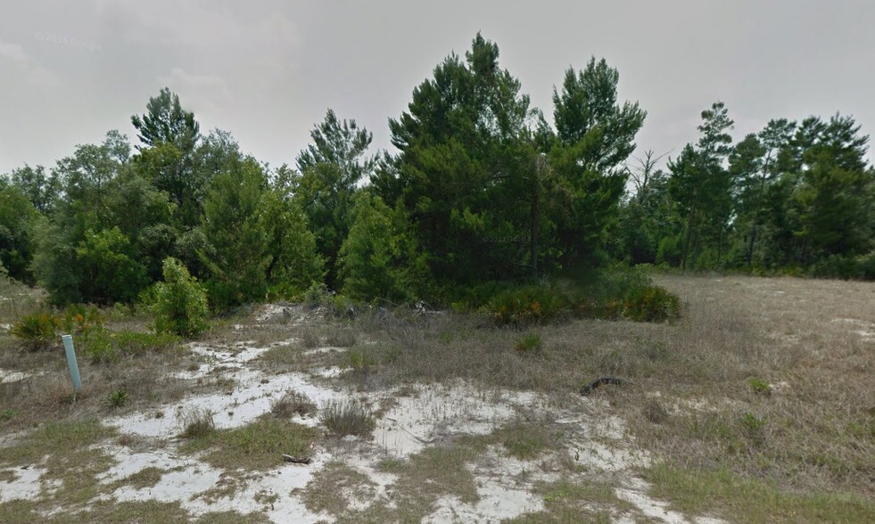 Marigold Ave, Poinciana, FL à vendre - Photo principale – Image 1 sur 1