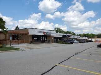 Plus de détails pour 960-998 Lake St, Roselle, IL - Différents types d’espaces à louer