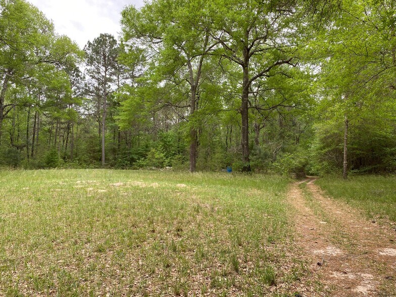 1700 Little John Street, Montgomery, TX à vendre - Photo de l’immeuble – Image 3 sur 17