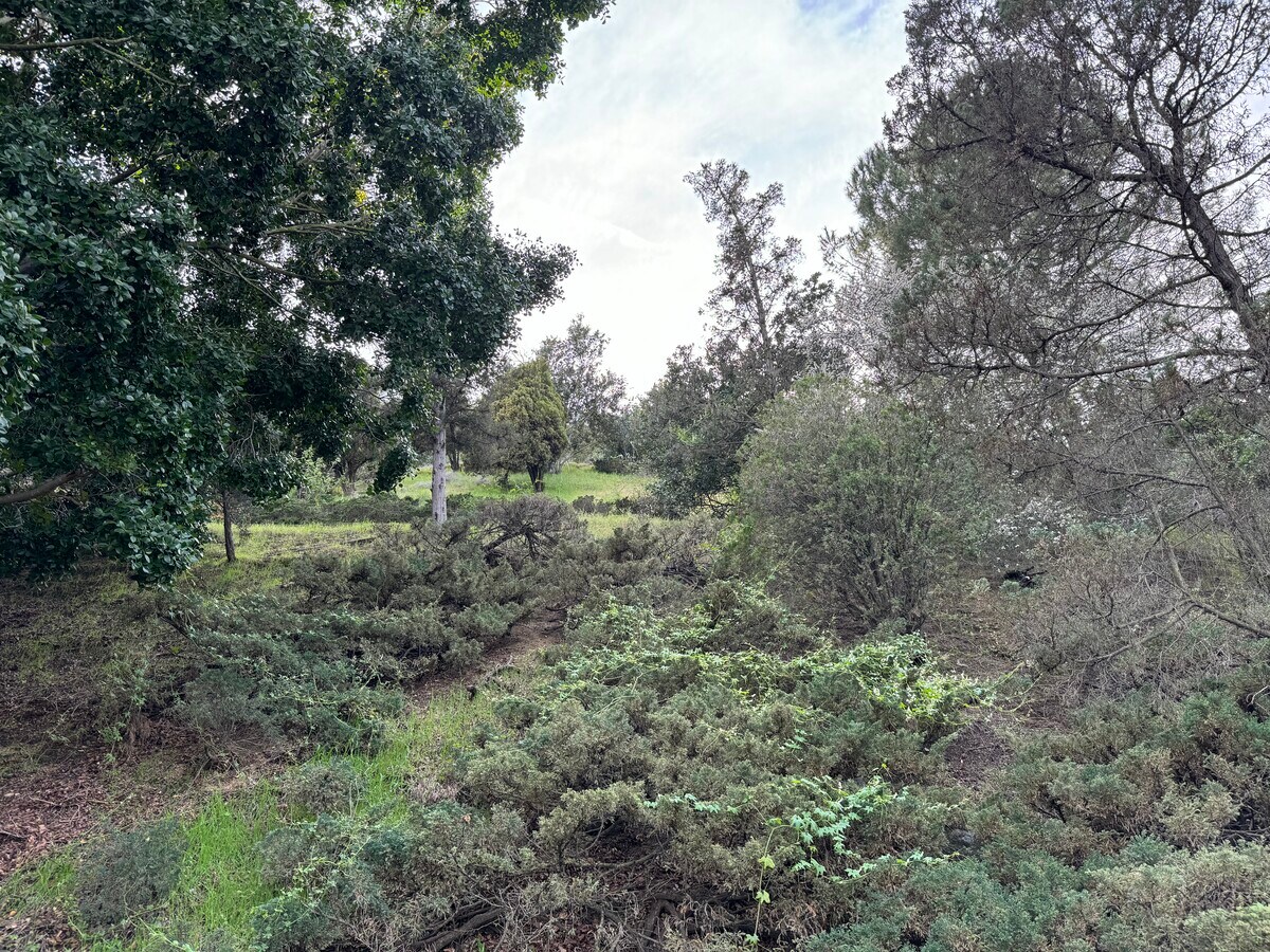 View Photo