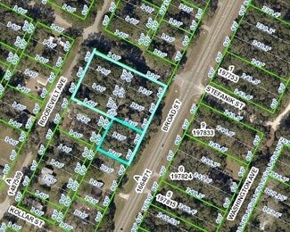 Plus de détails pour 0 Broad, Brooksville, FL - Terrain à vendre