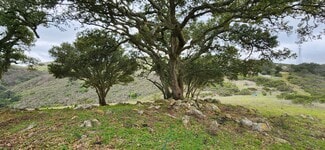 Plus de détails pour Salinas Road Hwy, San Juan Bautista, CA - Terrain à vendre