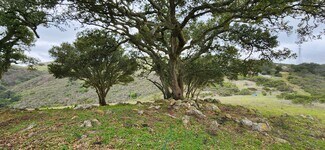 Plus de détails pour Salinas Road Hwy, San Juan Bautista, CA - Terrain à vendre