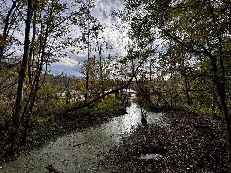 Coon Hop Rd, Hardaway, AL à vendre - Photo de l’immeuble – Image 3 sur 5