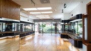 Rigsby-salon-gallery-real-estate-photo1