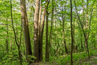 Plus de détails pour 0 Bidwell Rd, Mill Run, PA - Terrain à vendre