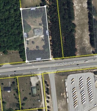 Plus de détails pour 5714 Platt Springs Rd, Lexington, SC - Terrain à vendre