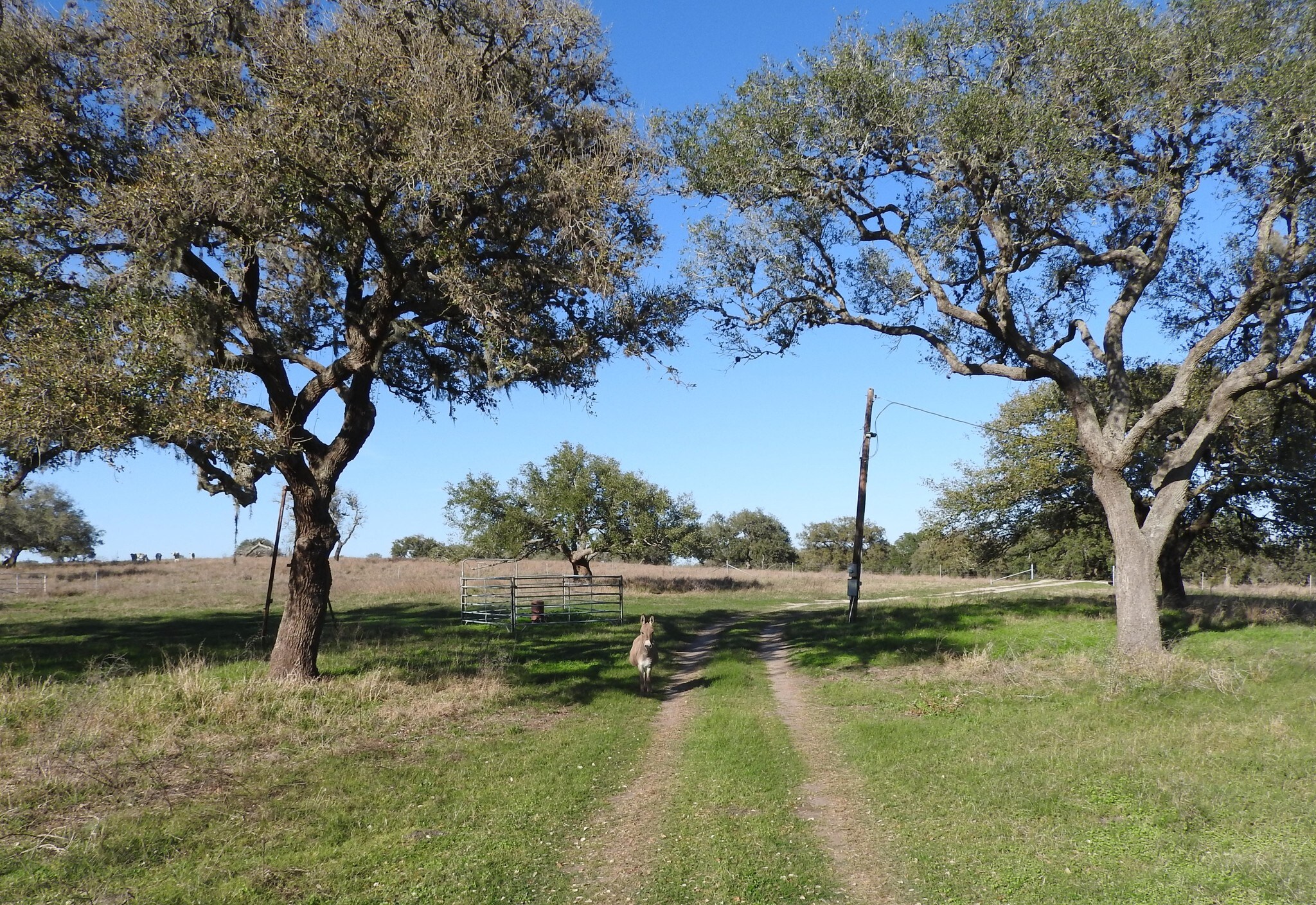 Orange Ln, Beeville, TX à vendre Photo principale– Image 1 sur 9