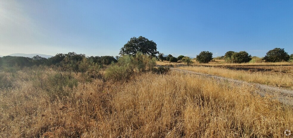 Terrain dans Hormigos, Toledo à vendre - Photo de l’immeuble – Image 1 sur 18