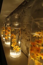 806 Stiles St, Baltimore, MD à louer Photo intérieure– Image 2 sur 14