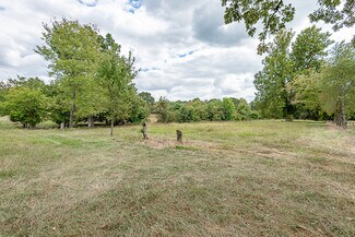Plus de détails pour 1297 N State Highway 125, Springfield, MO - Terrain à vendre