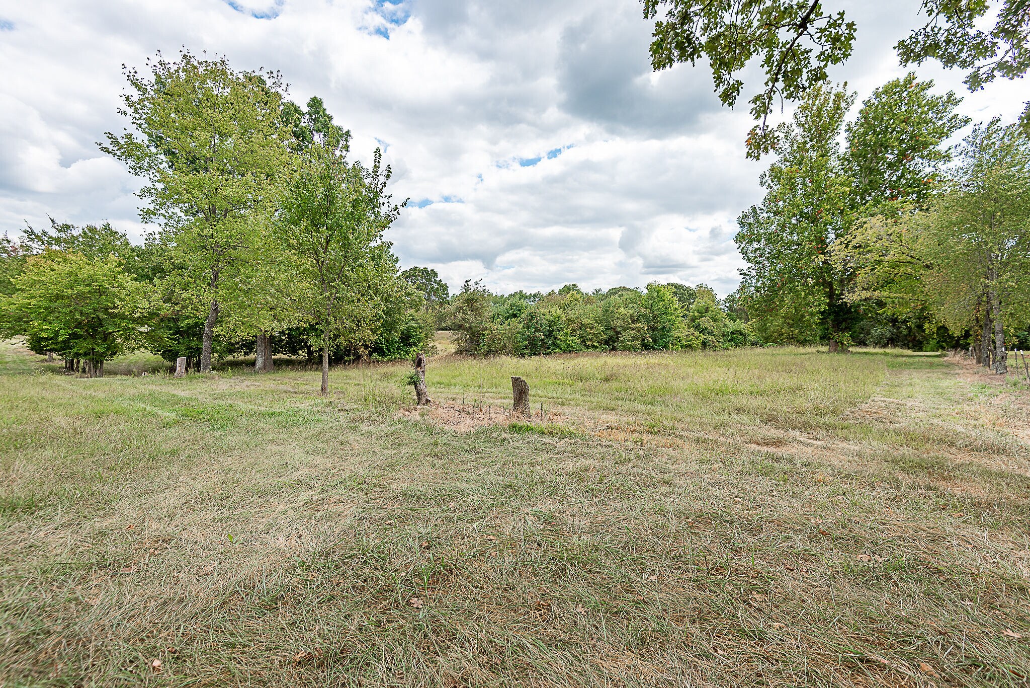 1297 N State Highway 125, Springfield, MO à vendre Autre– Image 1 sur 2