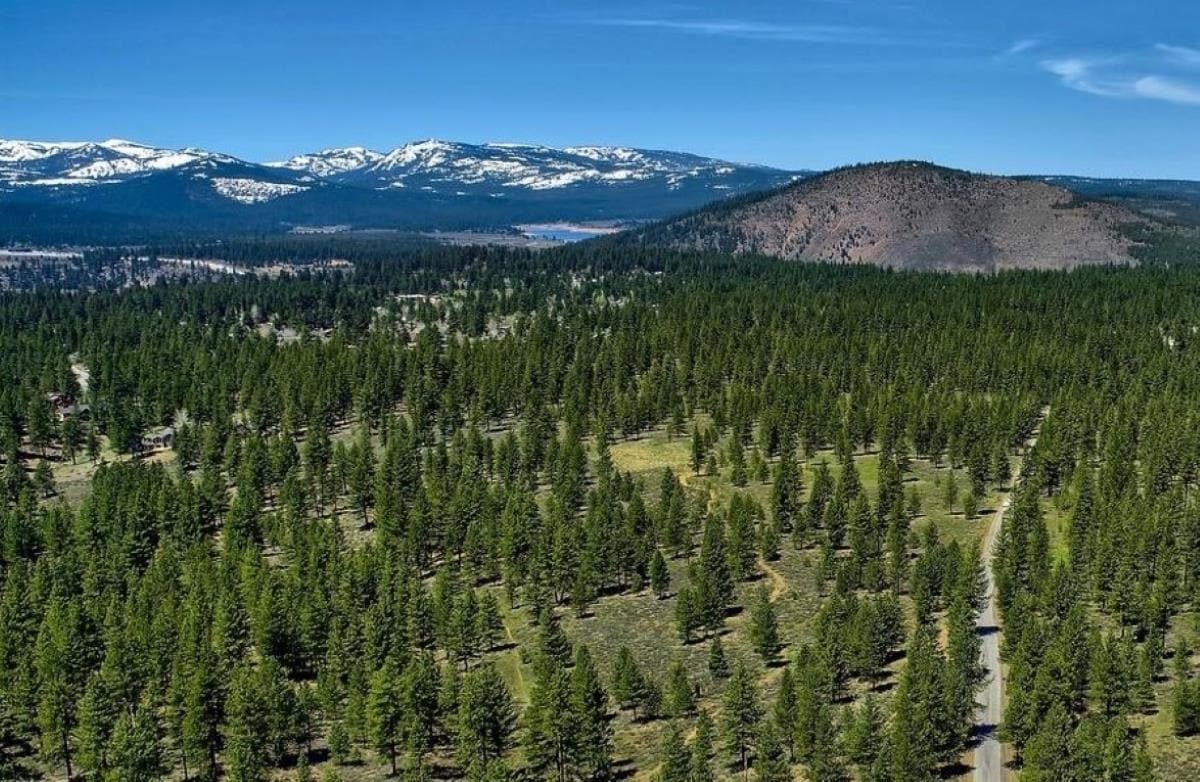 11221 Martis Peak rd, Truckee, CA à vendre Photo principale– Image 1 sur 4